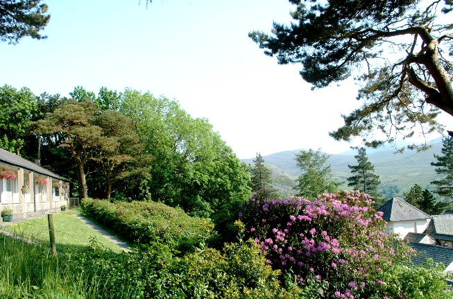 Plas Heulog Holiday Cottages Snowdonia