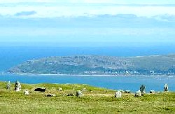 Druid's Stone Circle